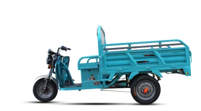 Meios de transporte de venda de fábrica de três rodas 500W/800W/1000W Trike Triciclo de transporte com carga grande