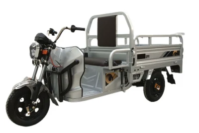 2023 mais novo triciclo elétrico de aparência simples e atmosférica 1000 W motor 60V45ah bateria triciclo elétrico