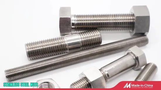 Aço inoxidável 304 316 Parafuso de flange/Parafuso de transporte/Parafuso quadrado/Parafuso passante/Âncora de cunha