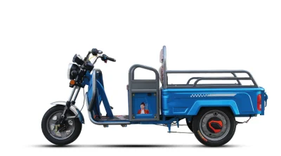 Fornecedor da china caminhão scooter de três rodas operado a bateria 800 w/1000 w ajudante de jardim trike entrega transporte triciclo elétrico com grande carga