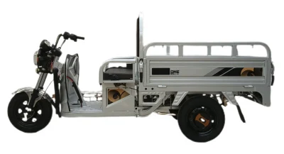 Triciclo elétrico sólido de alta segurança para transporte agrícola bom design 1000 W triciclo elétrico de carga