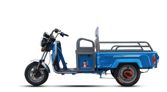 China venda motocicleta mobilidade elétrica três rodas triciclo triciclo 500 w triciclo de carga de três rodas basculante reverso trike motor trike com carga grande